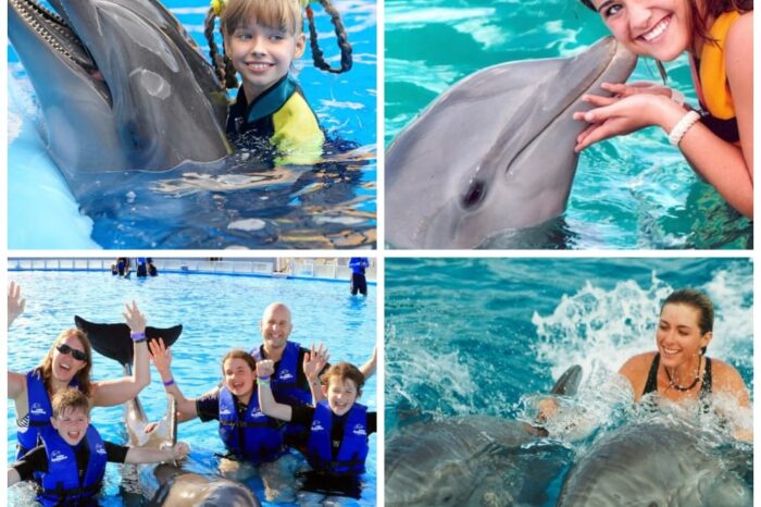 Swimming with Dolphins from Sharm El Sheikh